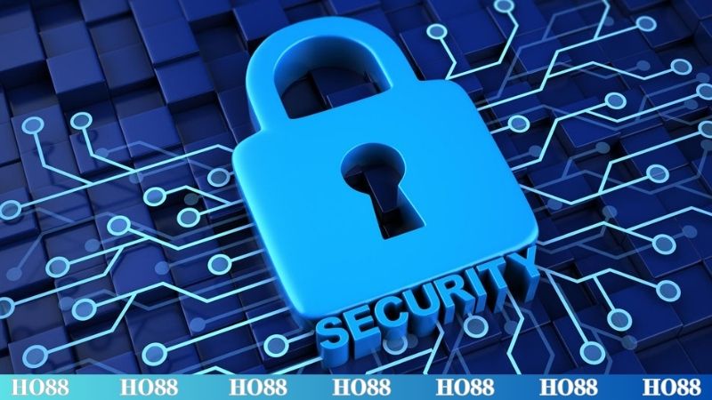 Hội viên có quyền như thế nào khi sử dụng dịch vụ