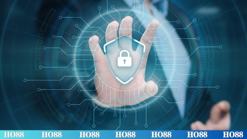 Nhà cái nghiêm cấm các hành vi gian lận khi cá cược